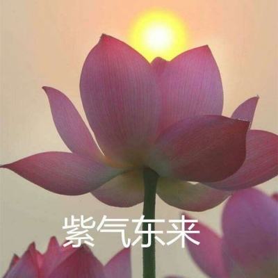 4399游戏盒签到神器